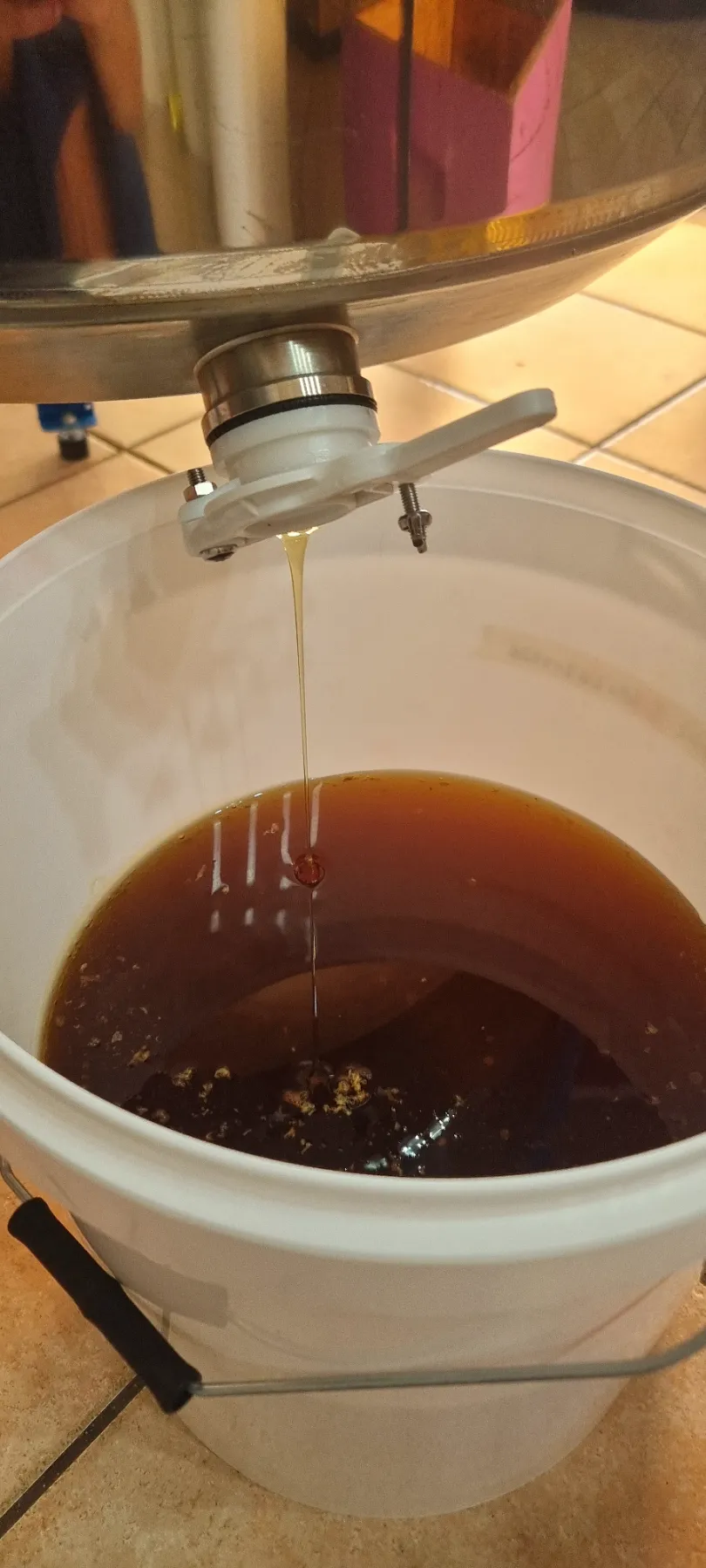 Miele appena estratto che cola nel secchio di smielatura